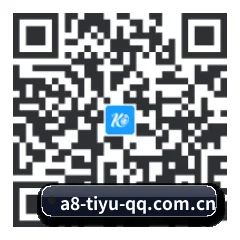 Android 全机型适配版 二维码